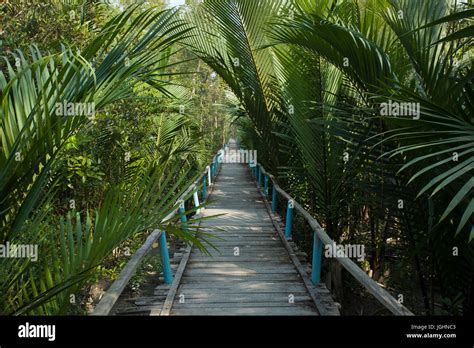 De  Eko-Tourism Centre: Een Oase Van Rust En Natuurlijke Schoonheid